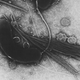 Image for article titled 10 Pseudo-Science Theories We'd Like to See Retired Forever